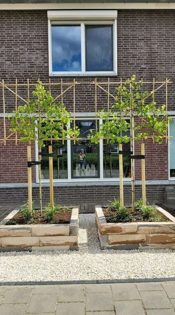 voortuin inspiratie rijtjeshuis: symmetrie in voortuin