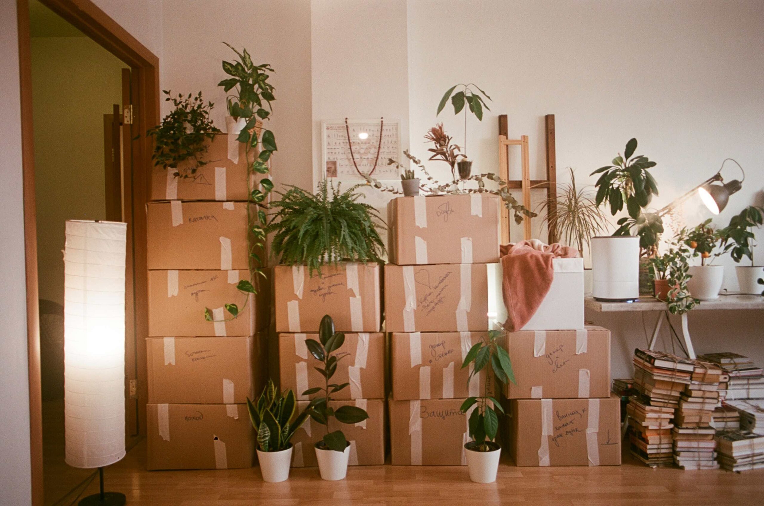 Goedkoop verhuizen? Ontdek deze geheime tips